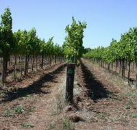 Temple Bruer Winery - Surfers Gold Coast