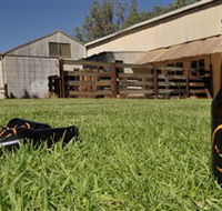 Wilkadene Woolshed Brewery - Surfers Gold Coast