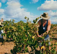 Torbreck Vintners - Surfers Gold Coast