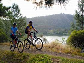 Mount Gambier Crater Lakes Mountain Bike Trail - Surfers Gold Coast 0