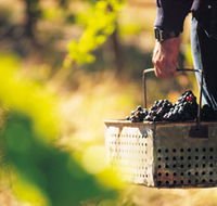 Burge Family Winemakers - Surfers Gold Coast