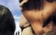 Murphy's Haystacks - Ancient Granite Rock - thumb 0