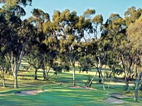 Tanunda Pines Golf Club - Surfers Gold Coast 0
