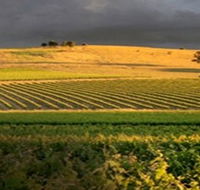 Kellermeister Wines - Surfers Gold Coast