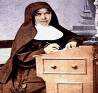 Mary MacKillop Penola Centre - Surfers Gold Coast