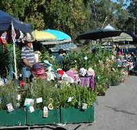 Meadows Monthly Market - Surfers Gold Coast