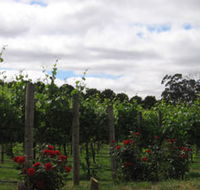 Manyara Vineyard - Surfers Gold Coast