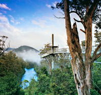 Tahune Adventures Tasmania - Surfers Gold Coast