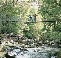 Arve Forest Drive - Surfers Gold Coast