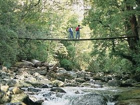 Arve Forest Drive - Surfers Gold Coast 0