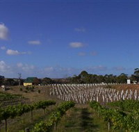 Deep Creek Wines and Alpacas - Surfers Gold Coast