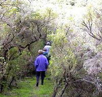 Jack And Hilda McArthur Walk - Surfers Gold Coast