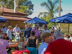 Barossa Valley Brewing - Surfers Gold Coast 0