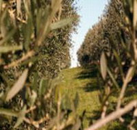 Evilo Estate - Surfers Gold Coast