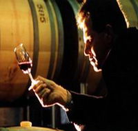 Salena Estate Wines - Surfers Gold Coast