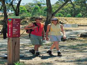 Riesling Trail - Surfers Gold Coast 0