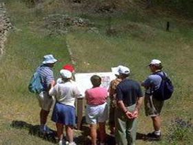 Cockatoo Valley SA Surfers Gold Coast