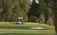 Barossa Valley Golf Club Incorporated - thumb 0