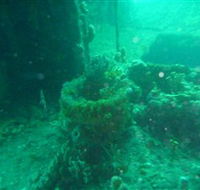 Wallaroo Scuba Club - Surfers Gold Coast