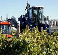 Ballast Stone Estate Wines Pty Ltd - Surfers Gold Coast