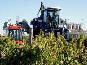 Ballast Stone Estate Wines Pty Ltd - Surfers Gold Coast 0