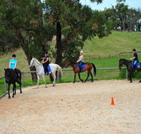 Megan Jones Riding School and Trail Rides - Surfers Gold Coast
