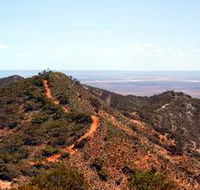 Arden Hills Props - Surfers Gold Coast