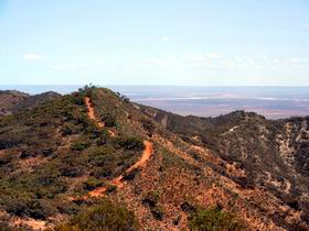 Arden Hills Props - Surfers Gold Coast 0