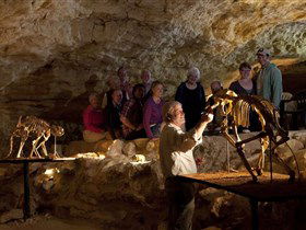 Naracoorte Caves National Park - Surfers Gold Coast 0