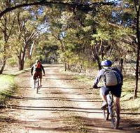 Bike About Mountain Bike Tours And Hire - Surfers Gold Coast
