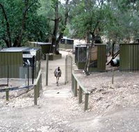 Humbug Scrub Wildlife Sanctuary - Surfers Gold Coast