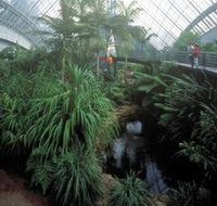 Bicentennial Conservatory - Surfers Gold Coast