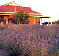 Bella Lavender Estate - Surfers Gold Coast