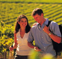 Lady Bay Vineyard - Surfers Gold Coast
