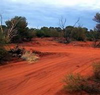 Tallaringa Conservation Park - Surfers Gold Coast