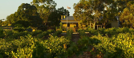 Greenock Creek Wines - Surfers Gold Coast 2