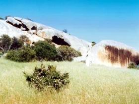 Ucontitchie Hill - Surfers Gold Coast 0