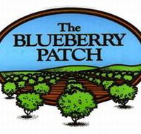 The Blueberry Patch - Surfers Gold Coast
