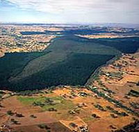 Mount Crawford Forest Reserve - Surfers Gold Coast