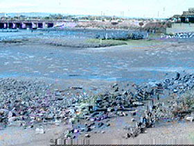 Jervois Basin Ships' Graveyard - Surfers Gold Coast 0