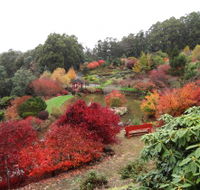 Emu Valley Rhododendron Garden - Surfers Gold Coast