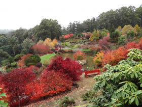 Emu Valley Rhododendron Garden - Surfers Gold Coast 0