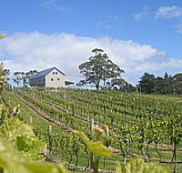 Bruny Island Premium Wines Bar and Grill - Surfers Gold Coast