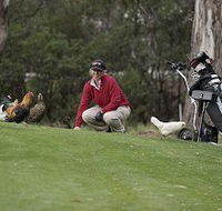 Tasmania Golf Club - The - Surfers Gold Coast