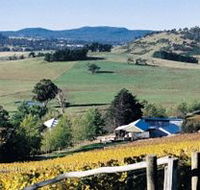 Freycinet Vineyards Pty Ltd - Surfers Gold Coast