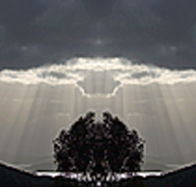 aart. Gallery of Fine Art - Surfers Gold Coast