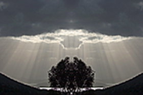 Aart. Gallery Of Fine Art - Surfers Gold Coast 0