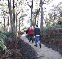 Bridport Walking Track - Surfers Gold Coast