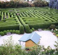 Westbury Maze and Tea Room - Surfers Gold Coast