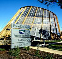 Forest EcoCentre - Surfers Gold Coast